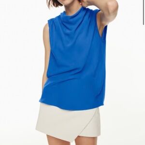 Aritzia Babaton Carter Blouse